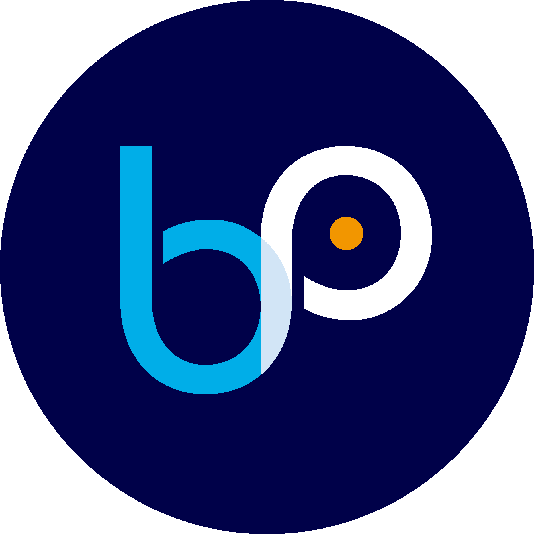 Bay Photonics Icon Logo Vector Logo
